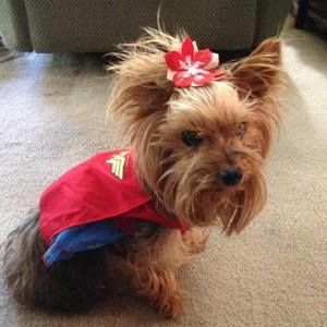 Meet your Posher, Vickie